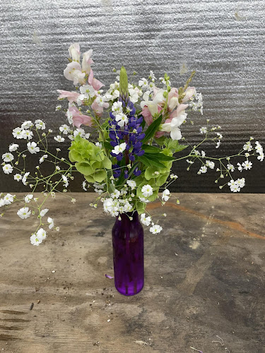 Acres-Abloom.jpg