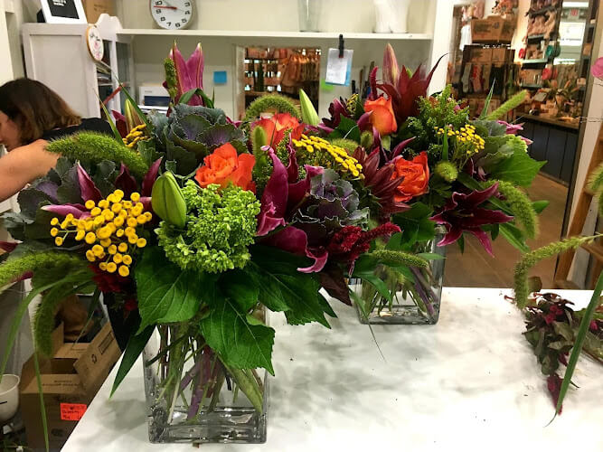Bloom-Flowers.jpg