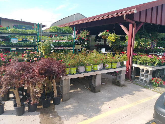 Browns-Greenhouse.jpg