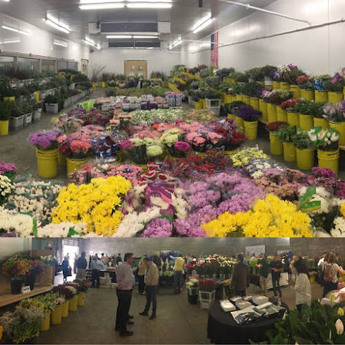 Dreisbach-Wholesale-Florists.jpg