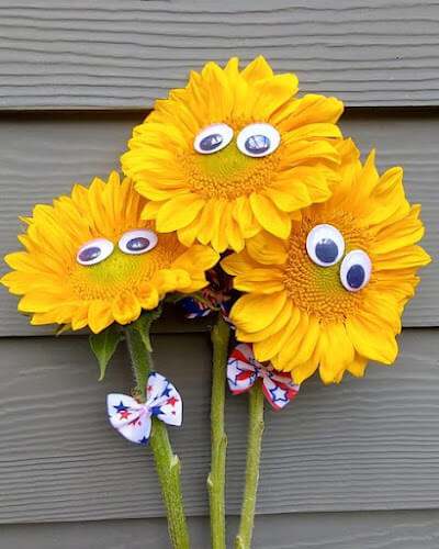 Farming-Rock-Blooms.jpg