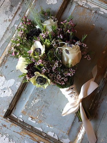 Flower-Wild.jpg