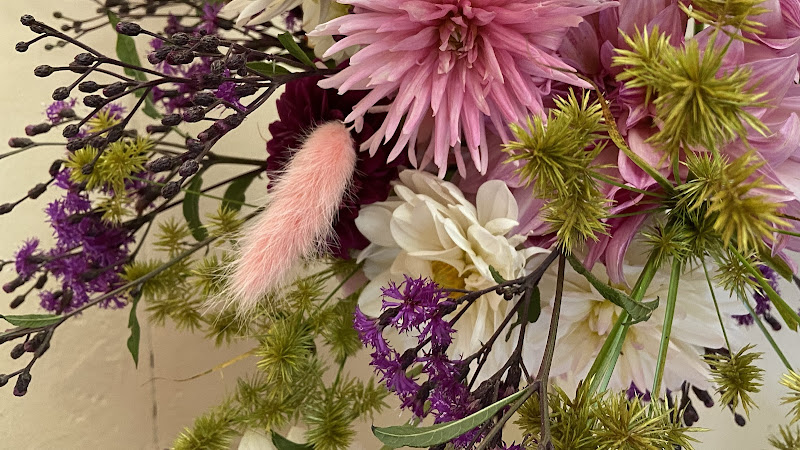 Garden-of-Adrienne-Fb.jpg