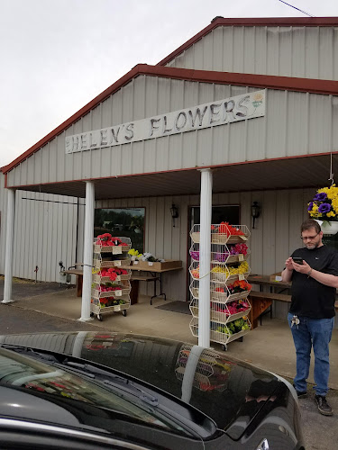 Helens-Flowers.jpg
