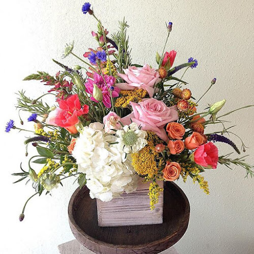 Humphreys-Flowers.jpg
