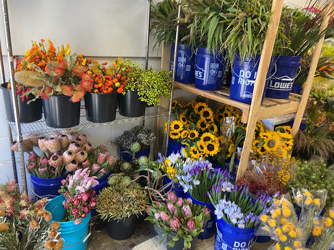 Import-Flowers-Nashville.jpg