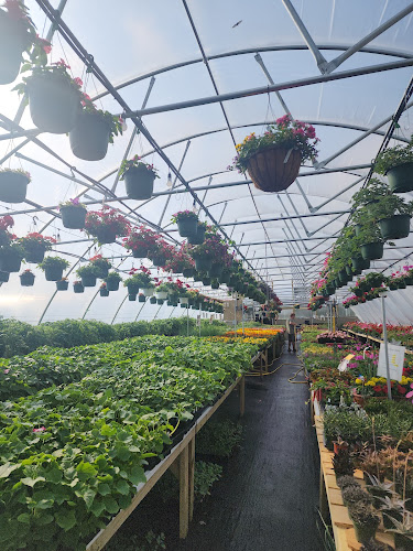 MandM-Greenhouse.jpg