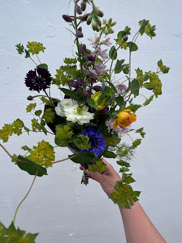 McIntosh-Field-and-Flower.jpg