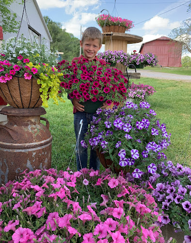 Millers-Greenhouse.jpg