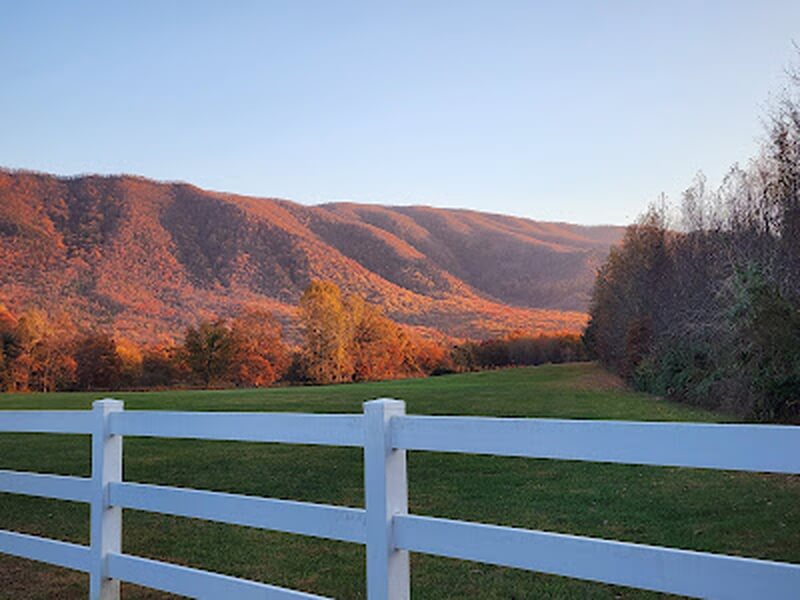 Mountain-Shadow-Farm.jpg