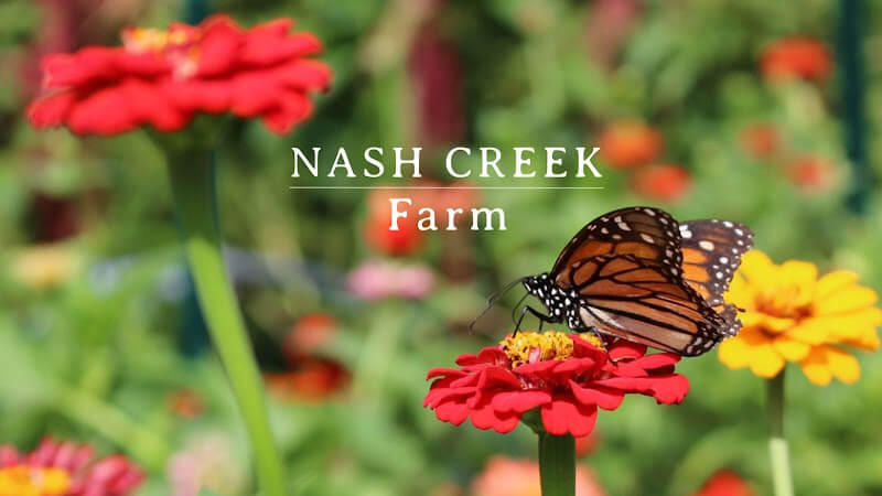 Nash-Creek-Farm.jpg