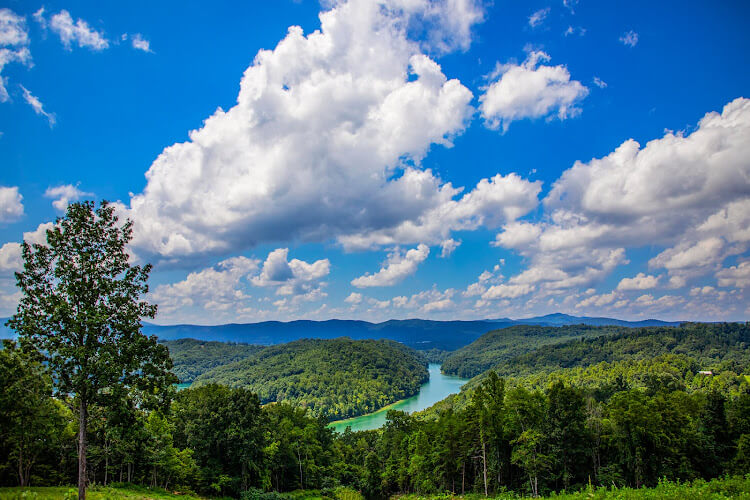 Norris-Lake-Haven-Farm.jpg