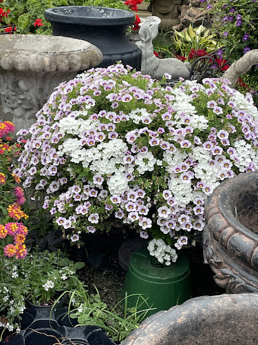 Pattis-Flowers.jpg