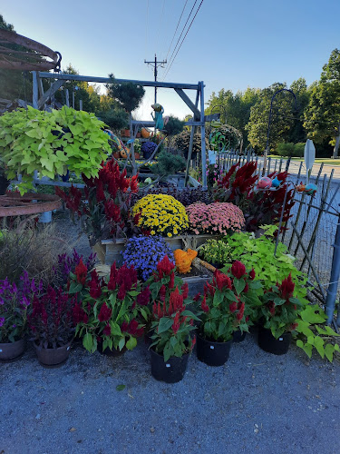 Pleasant-View-Nursery-And-Florist-True-Local.jpg