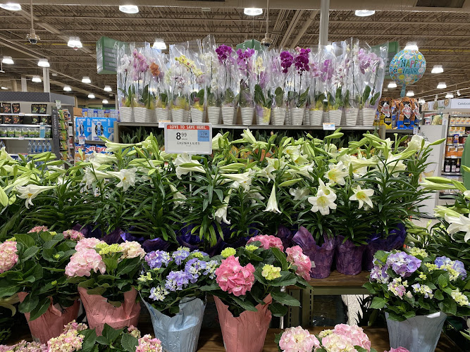 Publix-Super-Market-on-North-Market-Street.jpg