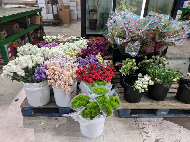 Shamrock-Wholesale-Florist-Inc.jpg