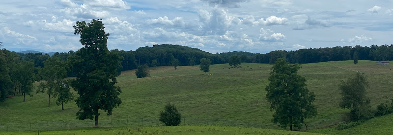 Southern-Oak-Lavender-Farm.jpg
