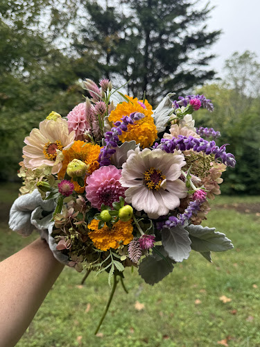 Terra-Flower-Farm.jpg