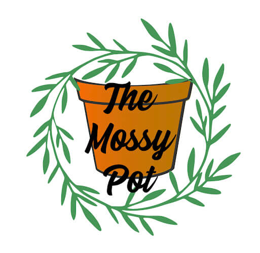 The-Mossy-Pot.jpg