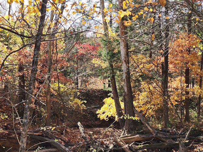 Thistlewood-Events-at-Williams-Farm.jpg