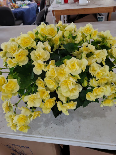 Vests-Greenhouse.jpg