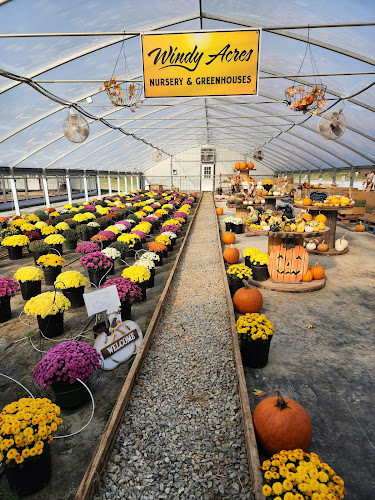 Windy-Acres-Farms-Nursery-and-Greenhouses.jpg