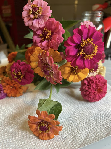 Y-Not-Flower-Farm.jpg